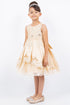 Girls Floral Embroidery Cutout Overlay Flower Girl Dress 2-16